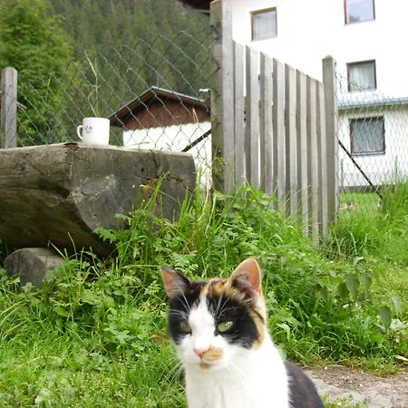 Apartments Seerhof カウナータール エクステリア 写真